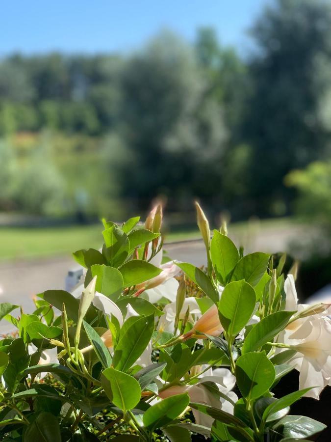 Cameracaffe Sul Lago Arezzo Eksteriør billede